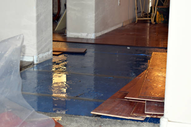Professional Flood Cleanup technician working in Hertel, WI